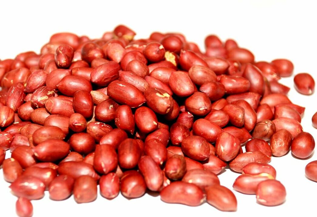 &nbsp; &nbsp; &nbsp; &nbsp; &nbsp; &nbsp; &nbsp;Peanuts